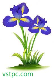 Blue Iris 5.6.2.8 Crack With Activation key Free Download 2022