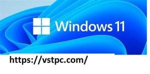 Windows 11 Manager Crack